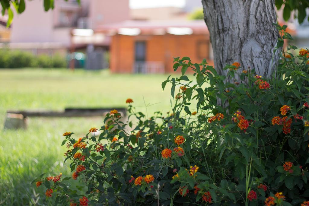 Agriturismo Il Gelsomino Ritrovato Milazzo Exterior foto
